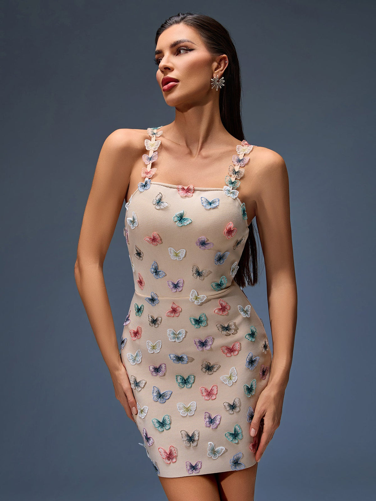 Butterfly Embroidered Bandage Dress, front view