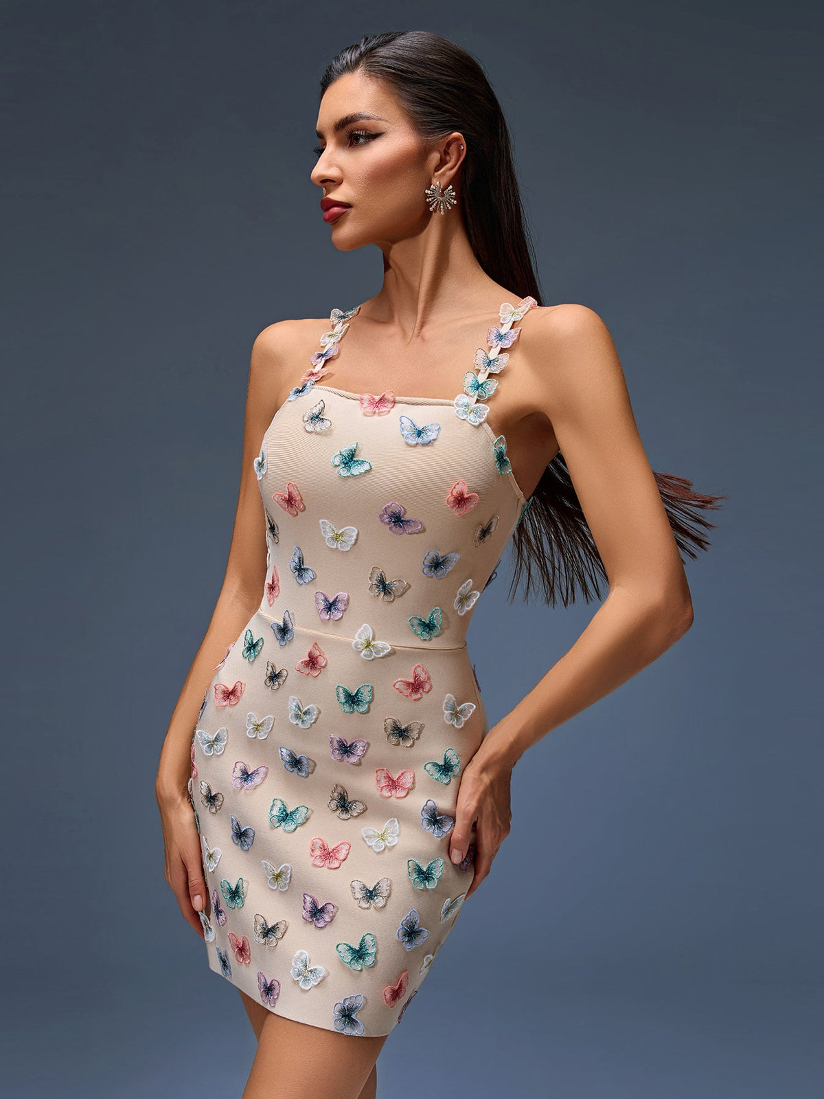 Butterfly Embroidered Bandage Dress, back view