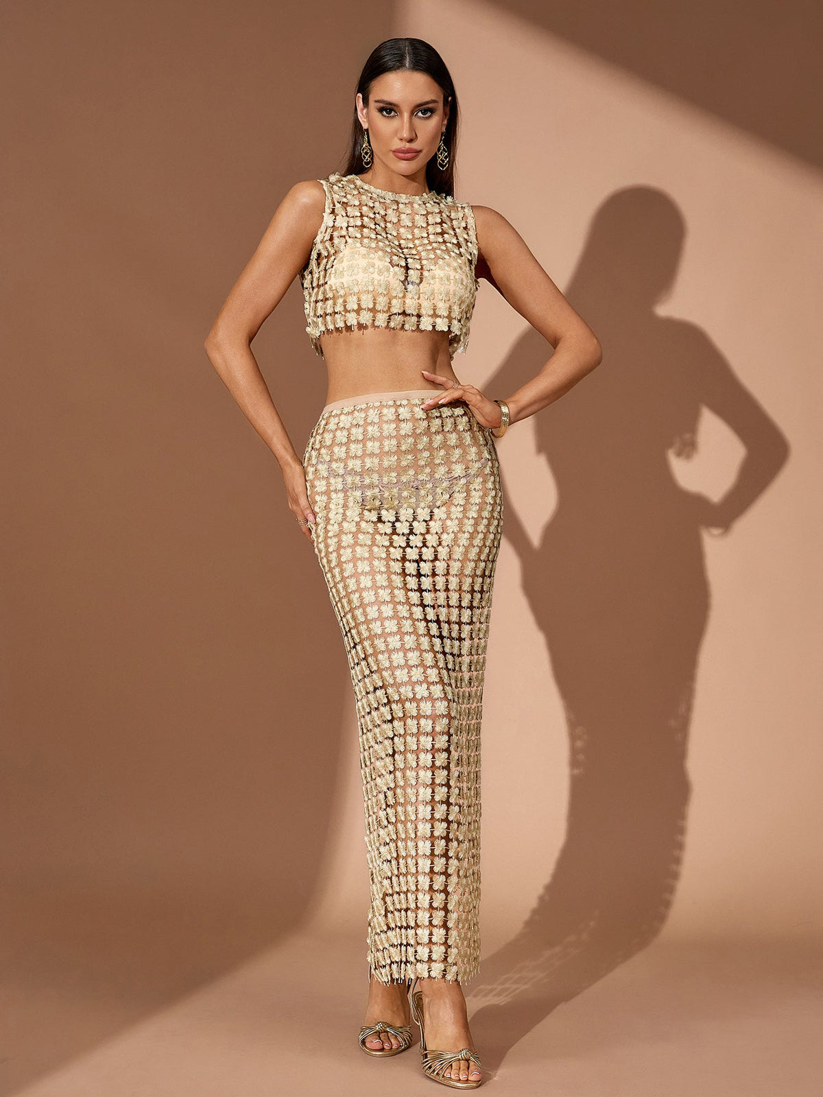 Embellished Mesh Crop Top Maxi Skirt Set, front view