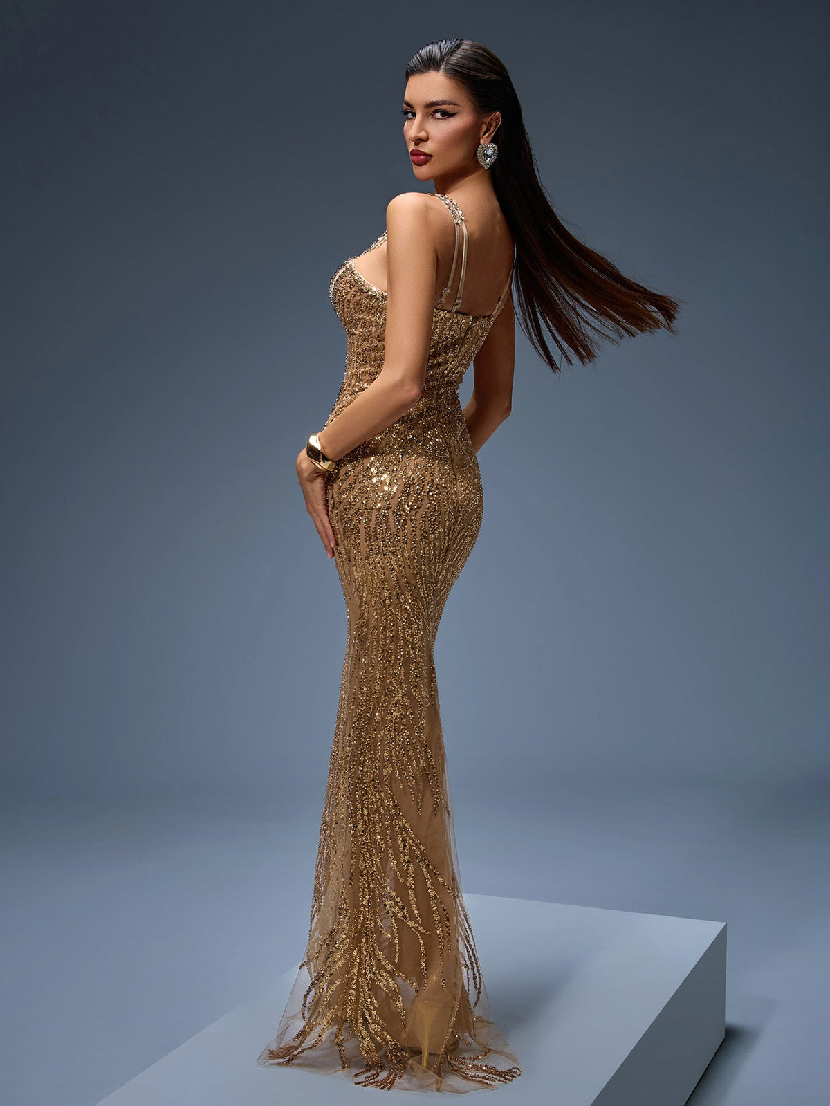 Heavy Crystal Embroidered Evening Dress, detail view
