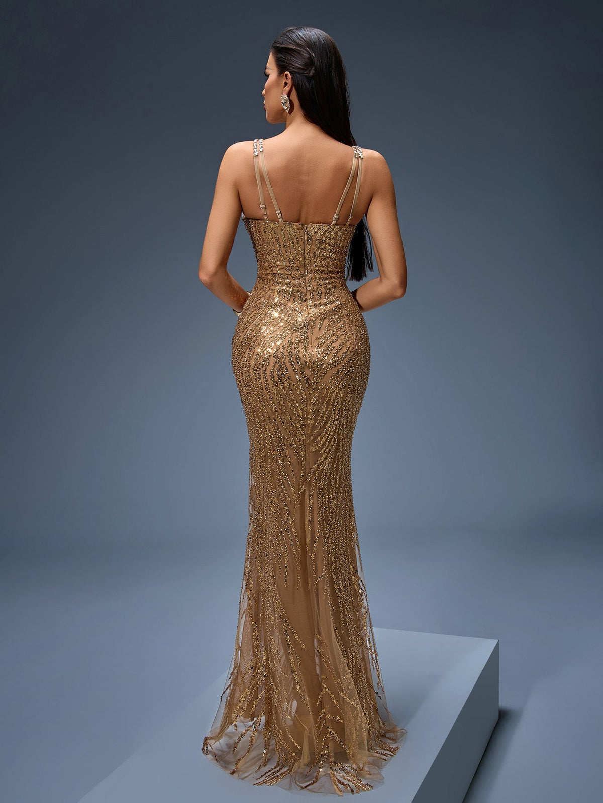 Heavy Crystal Embroidered Evening Dress, back detail view
