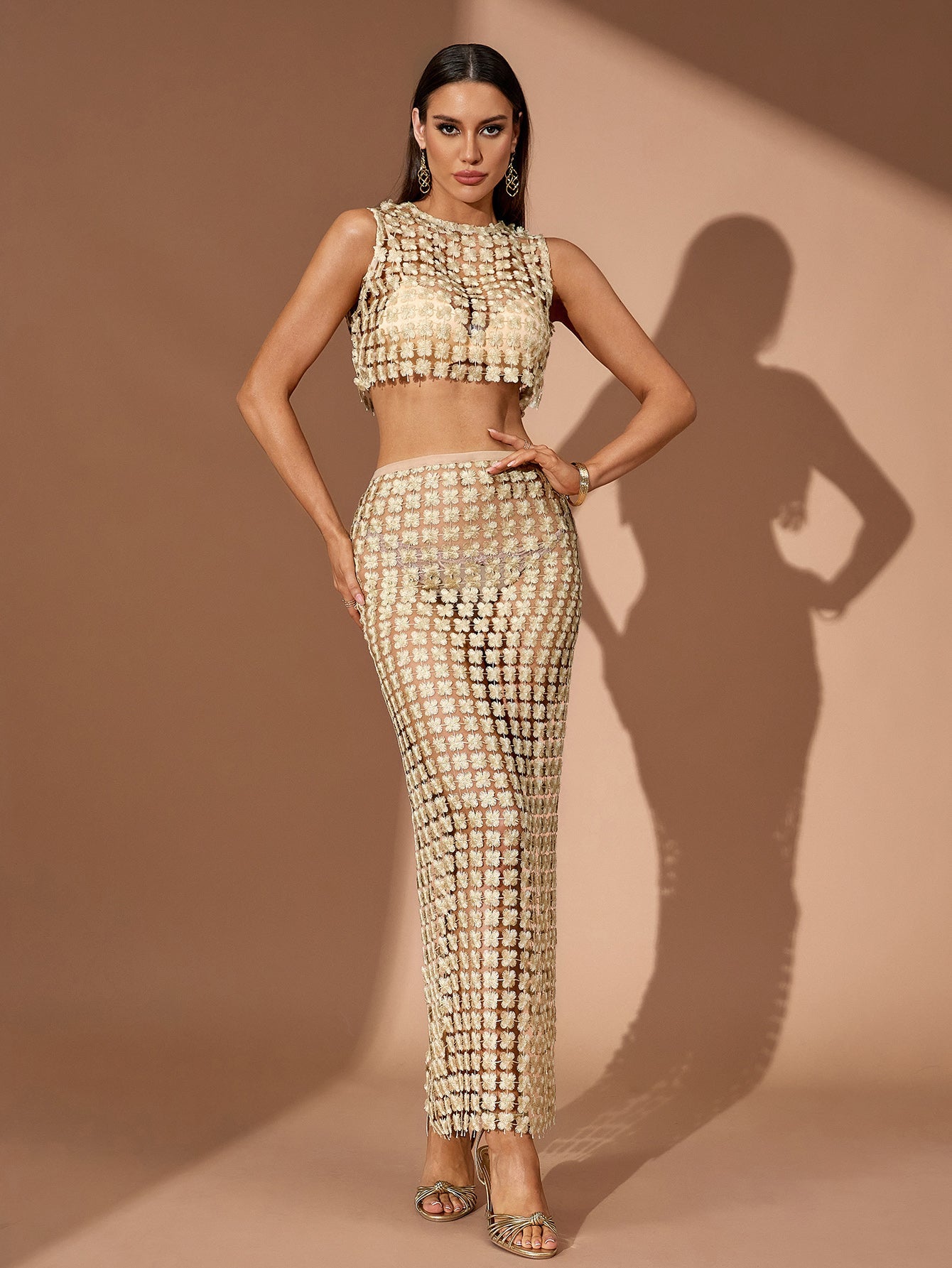 Gold Embroidery See Through Mesh Set