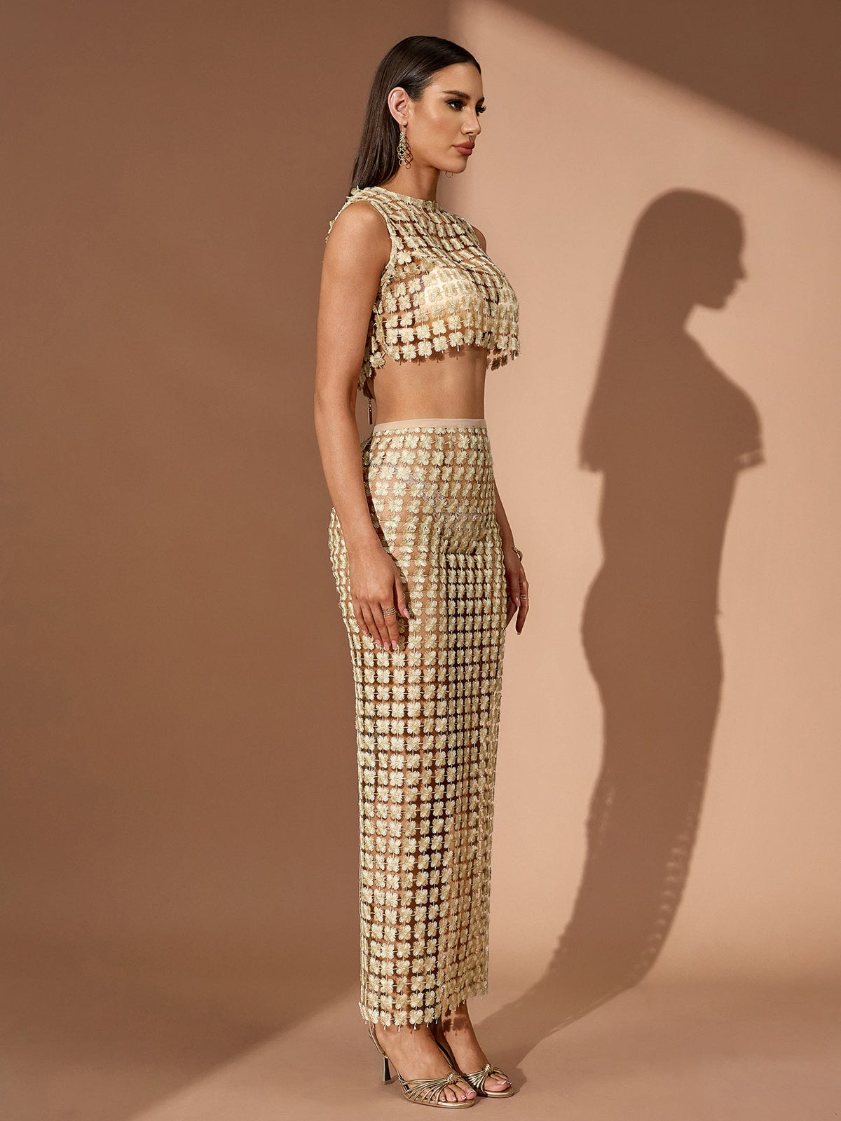 Embellished Mesh Crop Top Maxi Skirt Set, side view