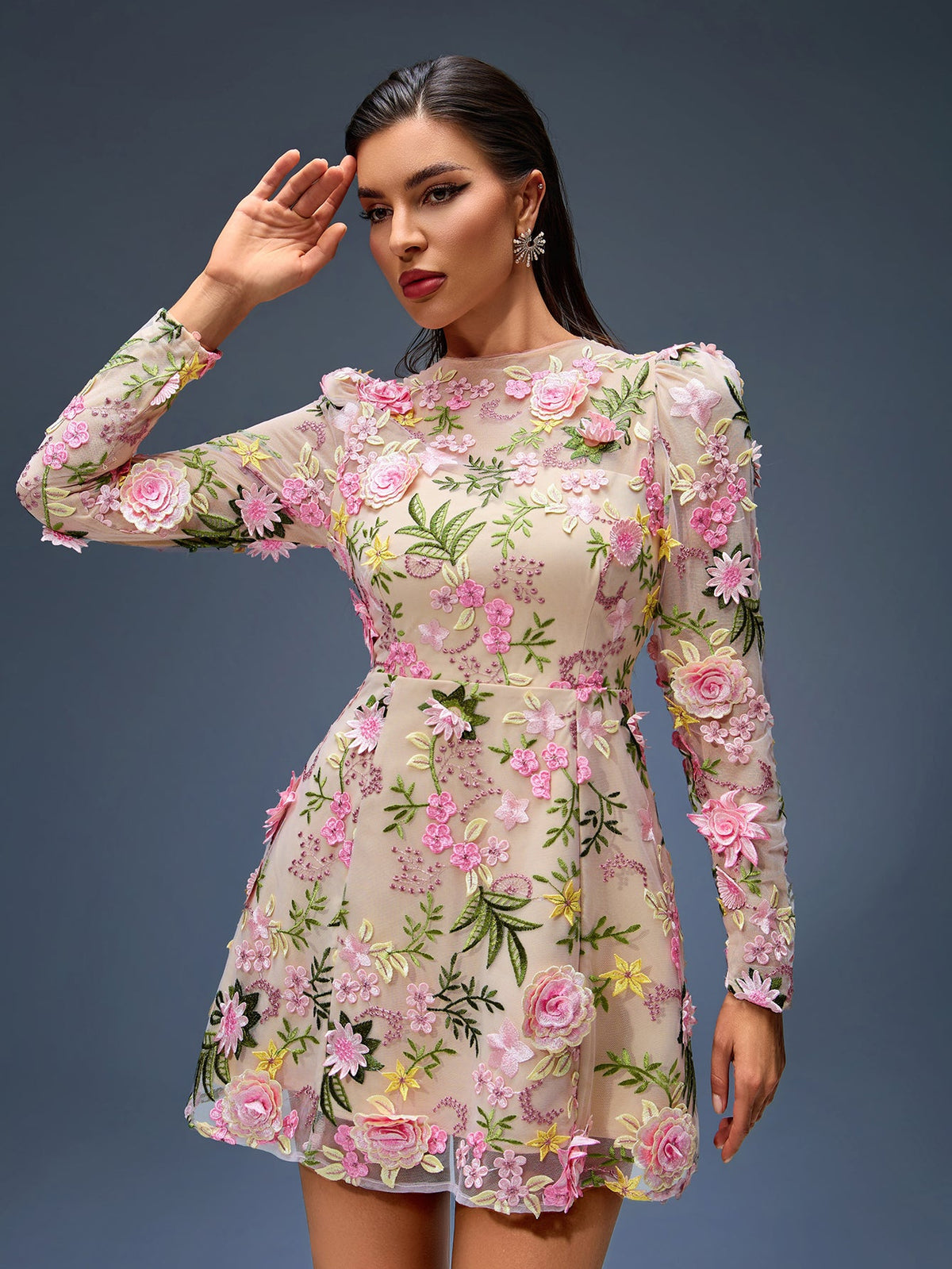 Floral Appliqué Mini A-Line Dress, back view