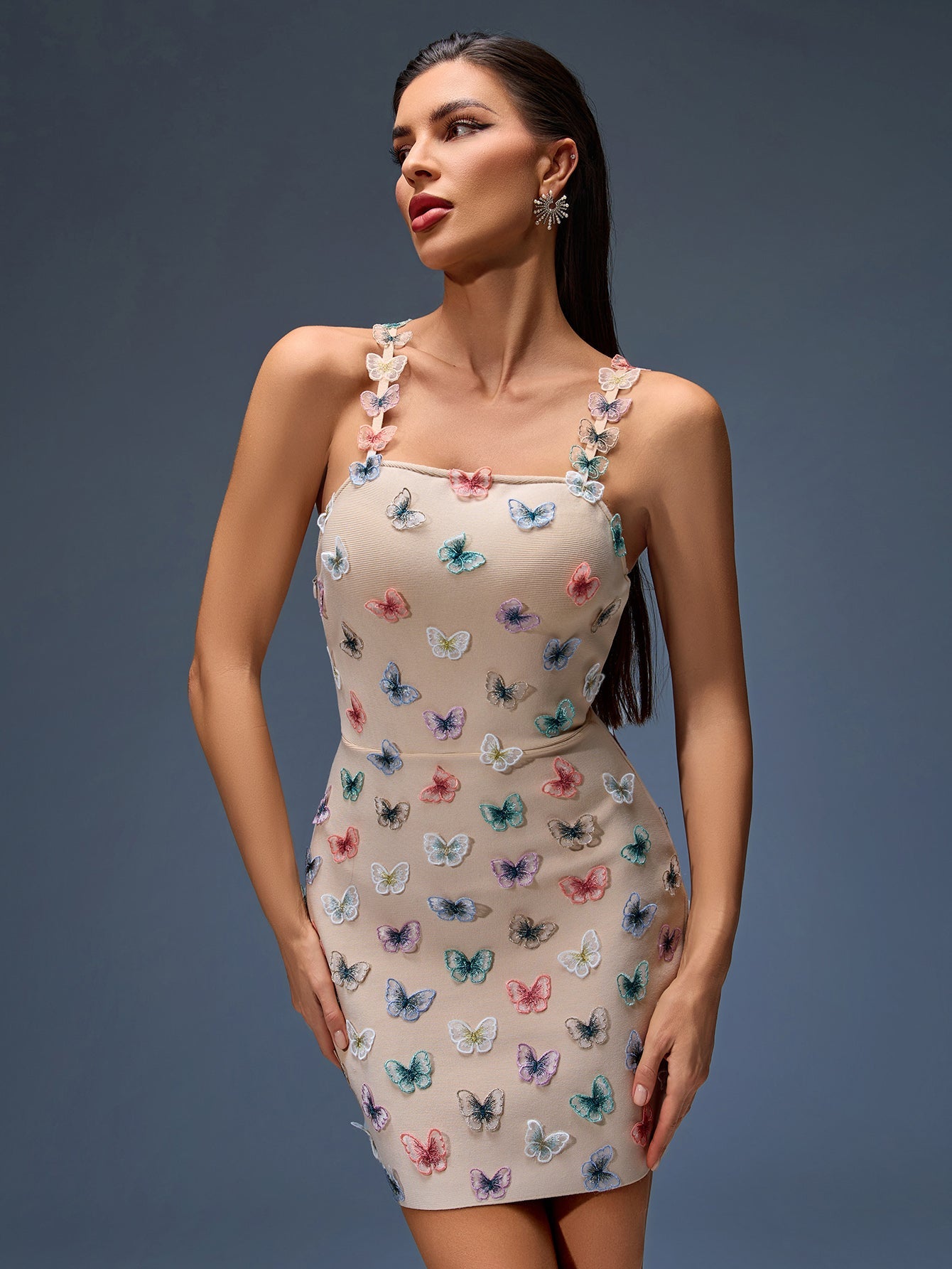 Colorful Butterfly Embroidered Bandage Dress